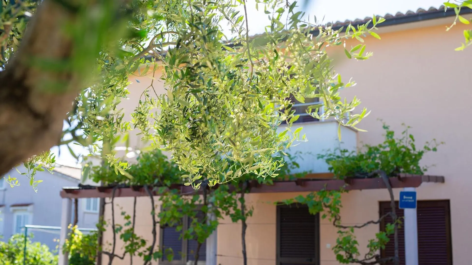 Apartman Sokolovski Krk Town 0*,